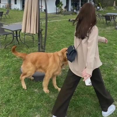 6号小姐:音乐把我拯救